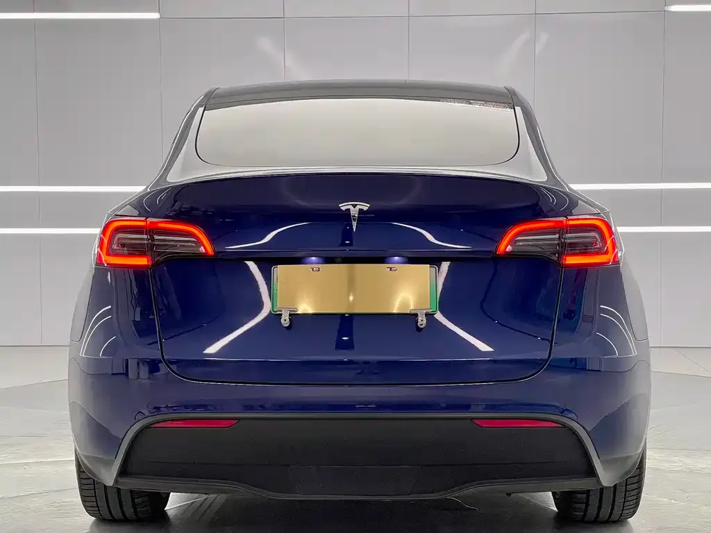 Tesla Model Y — фото 8