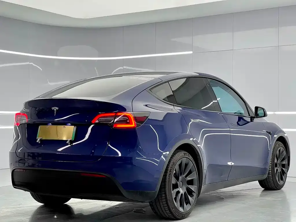 Tesla Model Y — фото 9