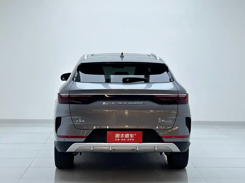 BYD PLUS New Energy — фото 8