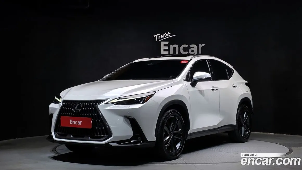Lexus NX 2024 из KR, фото 1