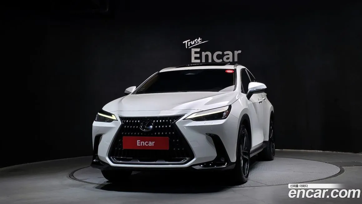 Lexus NX 2024 из KR, фото 3