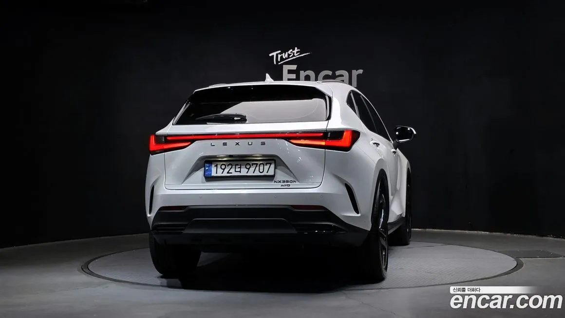 Lexus NX 2024 из KR, фото 4