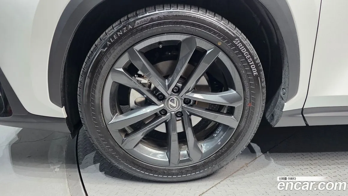 Lexus NX 2024 из KR, фото 5