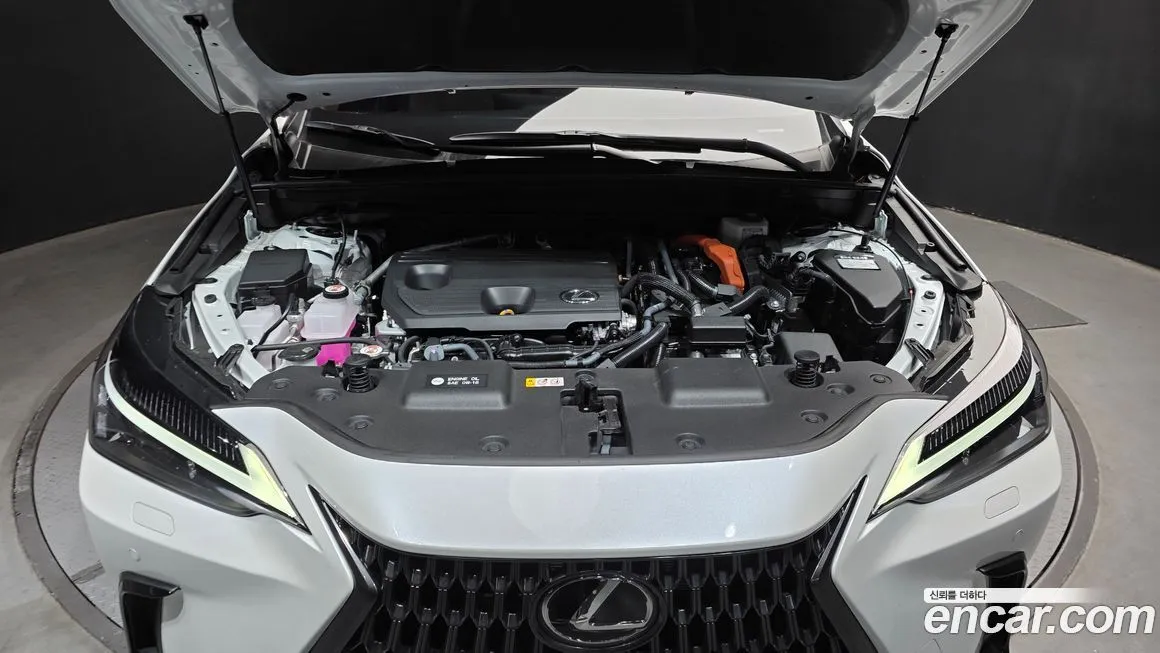 Lexus NX 2024 из KR, фото 6