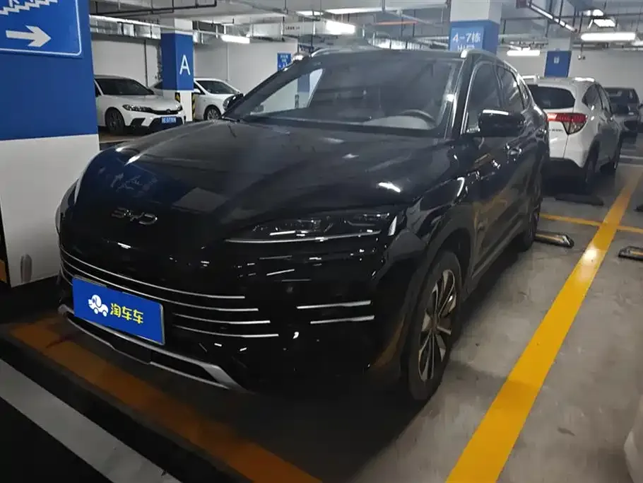 BYD PLUS New Energy 2025 из CN, фото 1