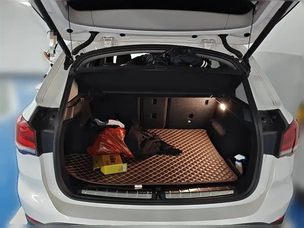 BMW X1 2021 из CN, фото 10
