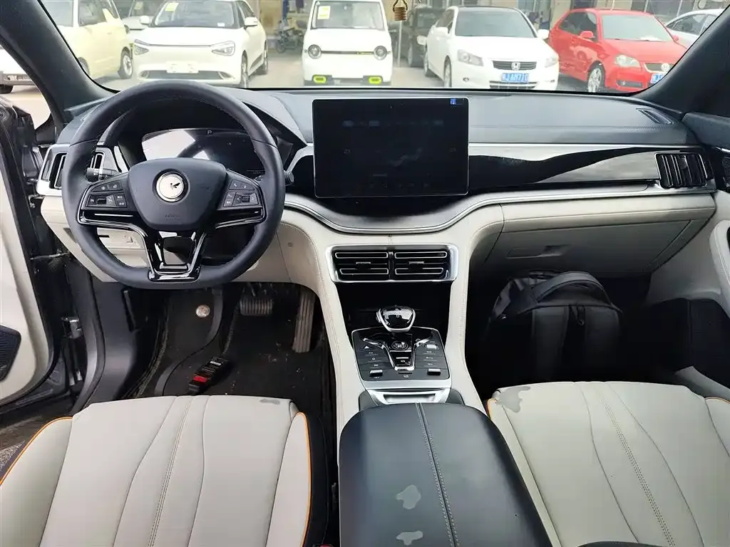 BYD PLUS New Energy — фото 10