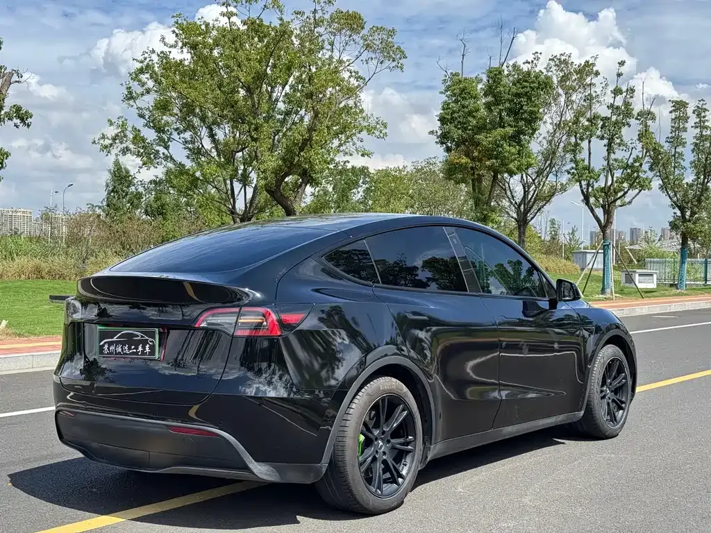 Tesla Model Y — фото 10