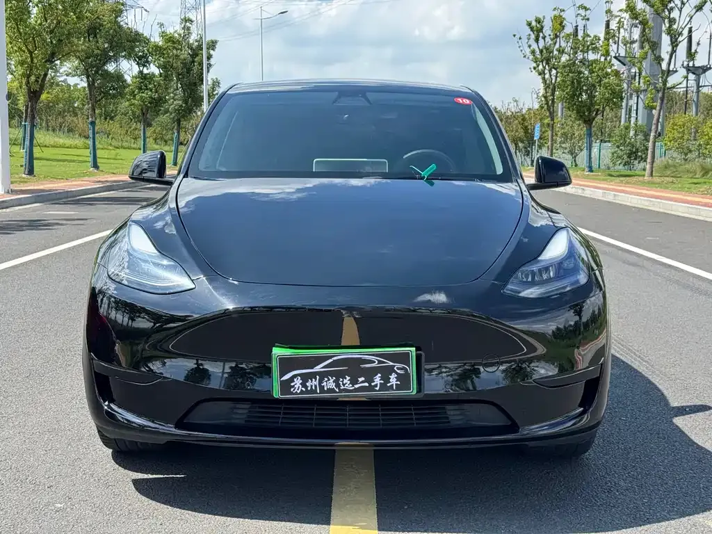 Tesla Model Y — фото 2