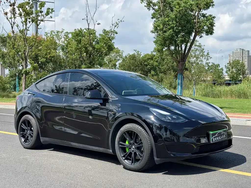 Tesla Model Y — фото 3