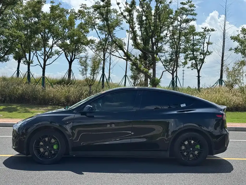 Tesla Model Y — фото 4