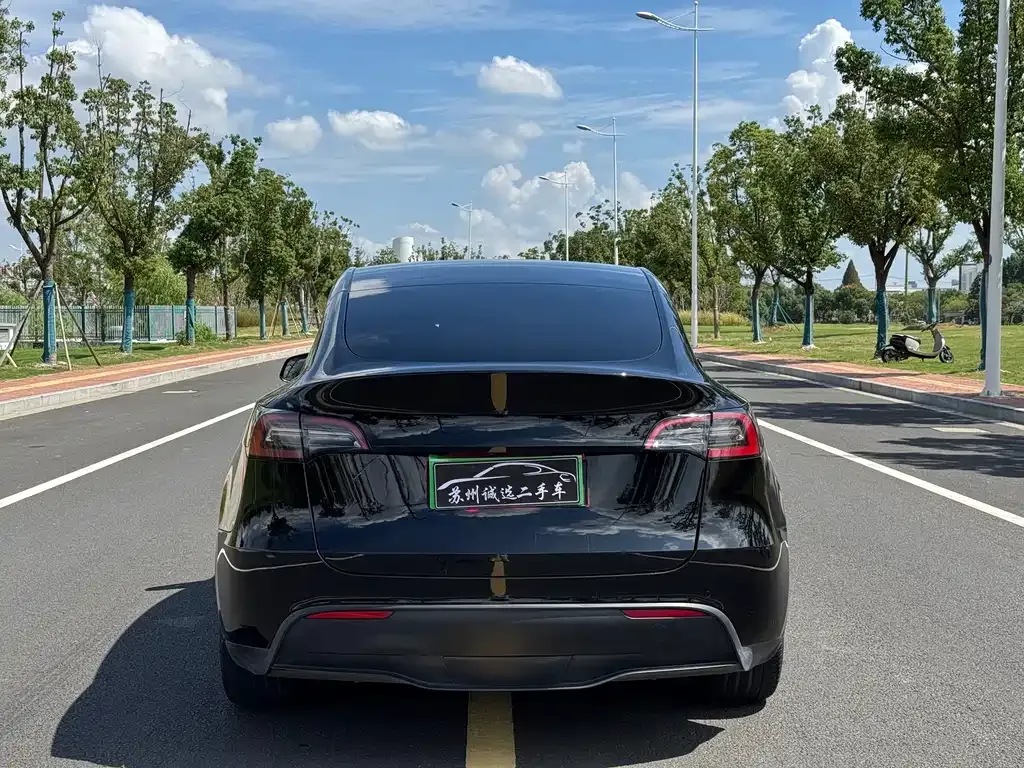 Tesla Model Y — фото 9
