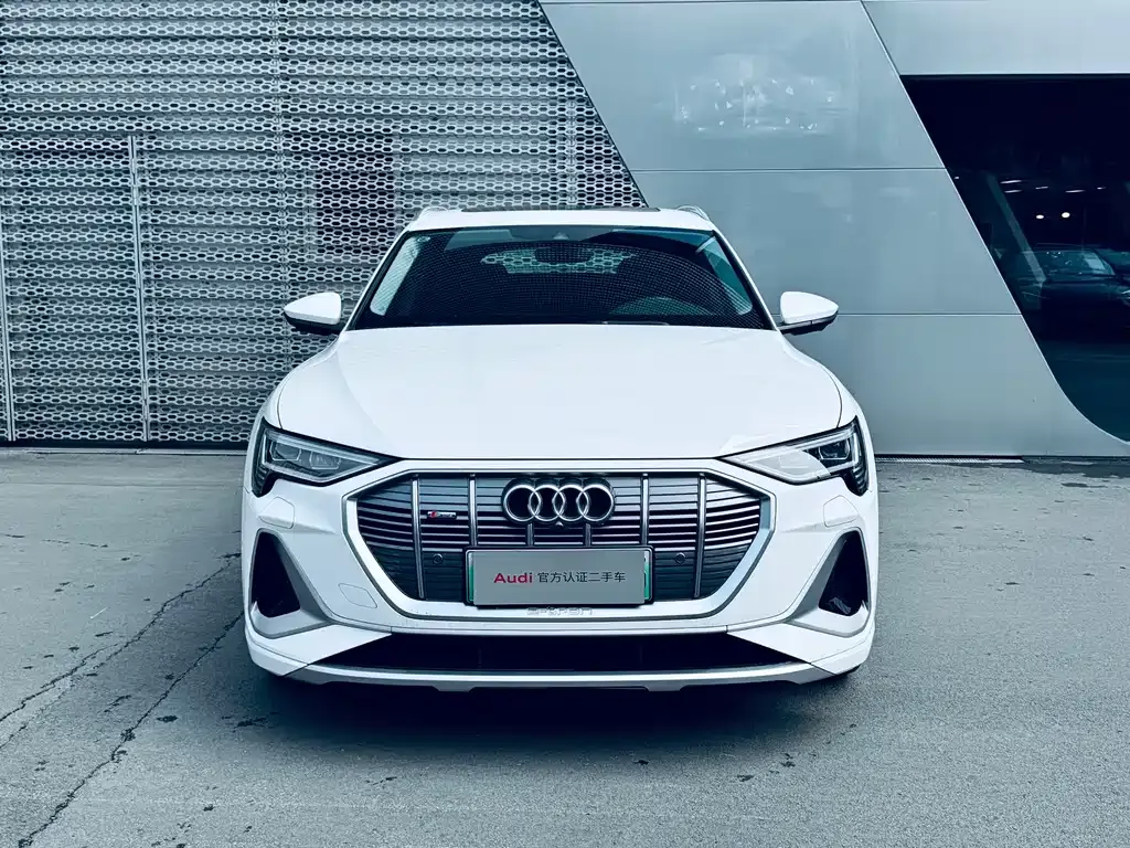 Audi e-tron 2023 из CN, фото 3