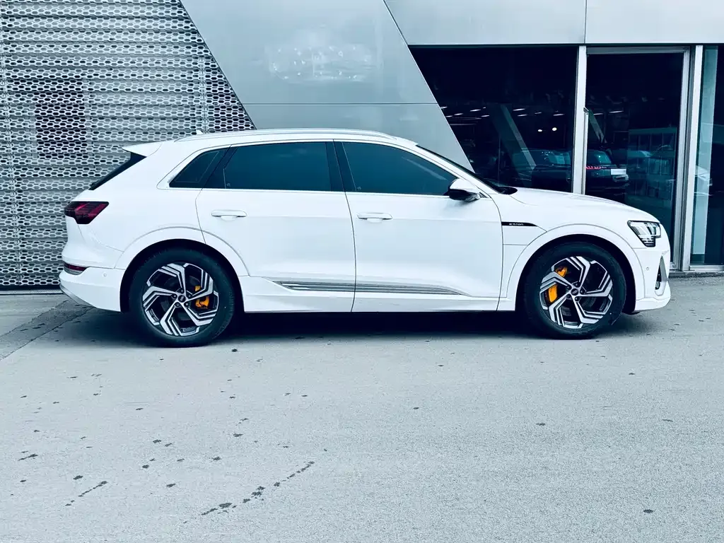 Audi e-tron 2023 из CN, фото 5