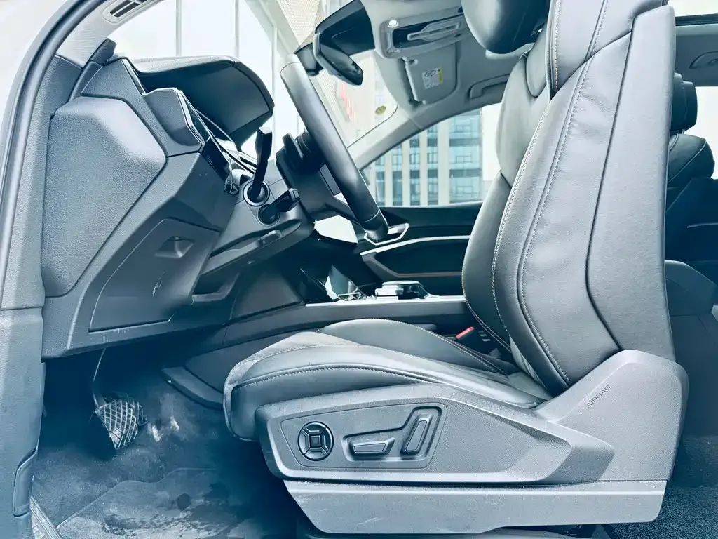 Audi e-tron 2023 из CN, фото 8