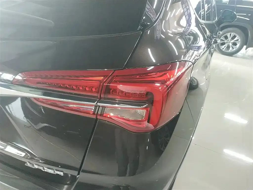 [object Object] Envision Plus 2021 из CN, фото 8