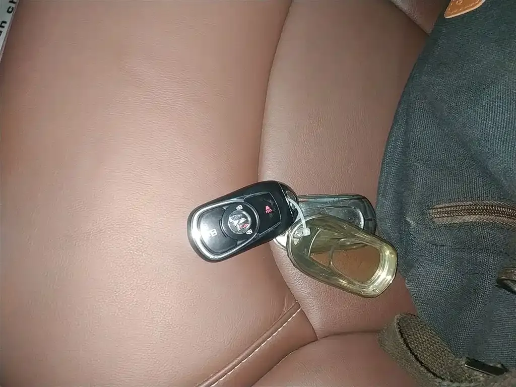 [object Object] Envision Plus 2021 из CN, фото 9