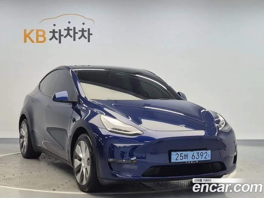 Tesla Model Y 2021 из KR, фото 4