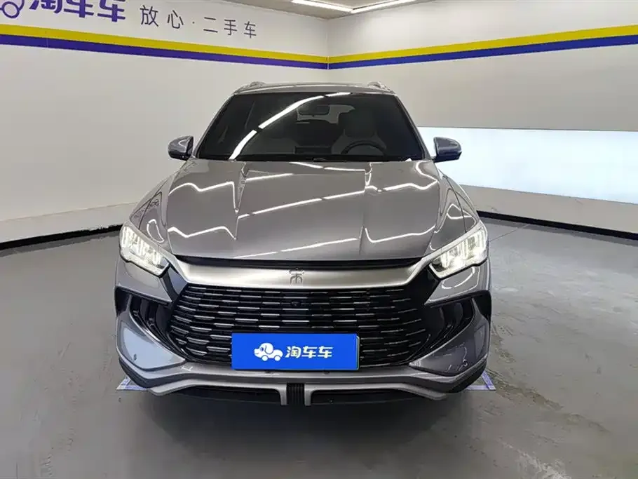 BYD Pro New Energy 2023 из CN, фото 2