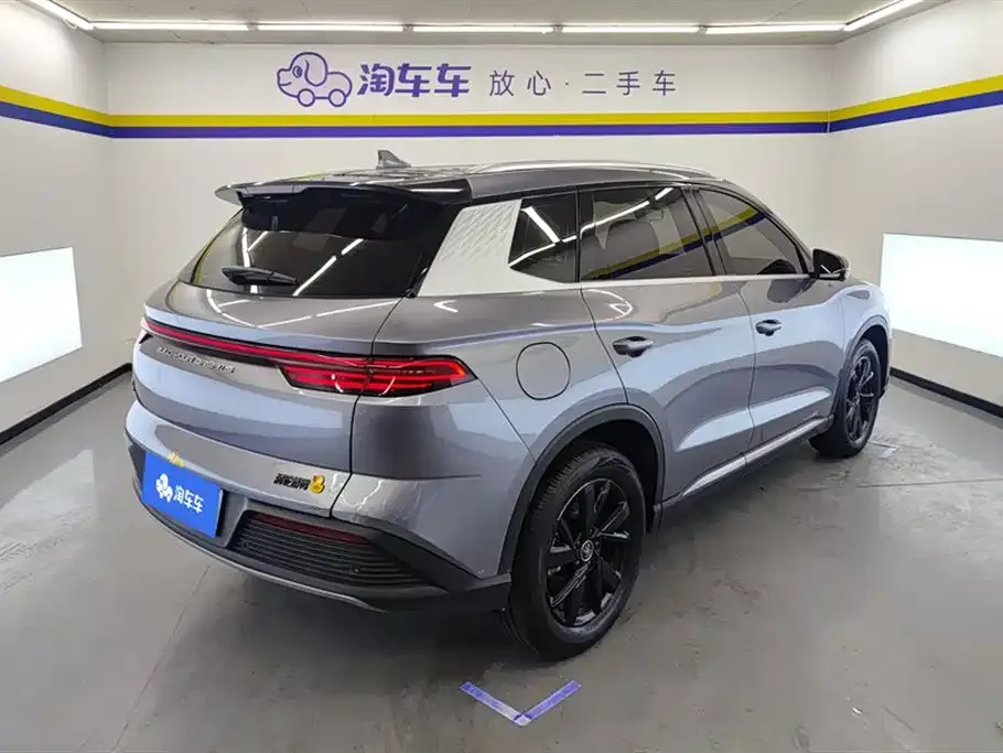 BYD Pro New Energy 2023 из CN, фото 3