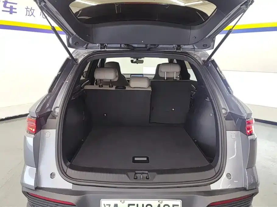 BYD Pro New Energy 2023 из CN, фото 4