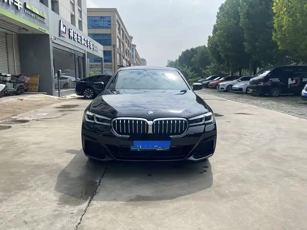 BMW 5 Series 2023 из CN, фото 2