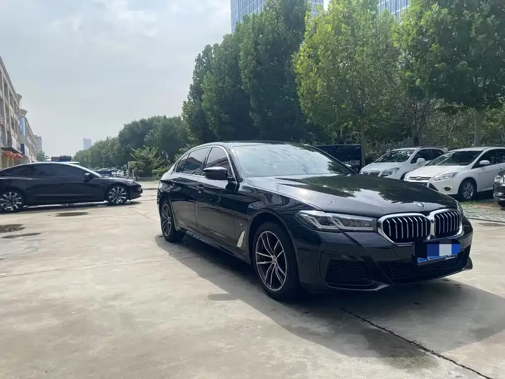 BMW 5 Series 2023 из CN, фото 3