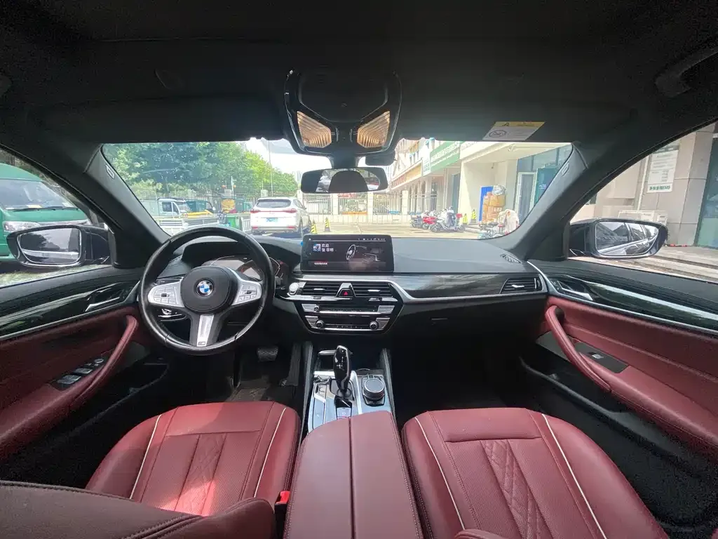 BMW 5 Series 2023 из CN, фото 6