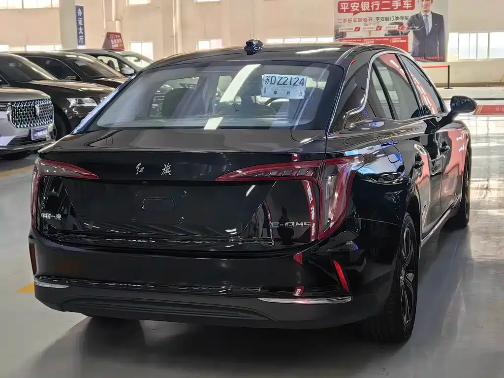 Hongqi E-QM5 — фото 10