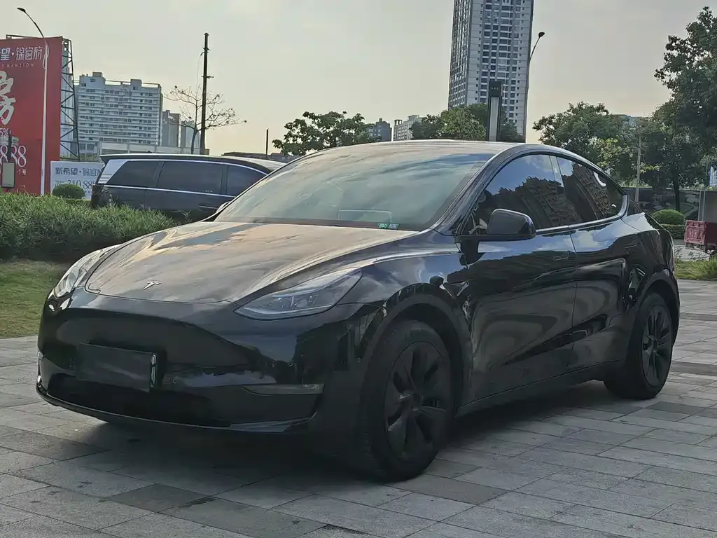 Tesla Model Y 2024 из CN, фото 1