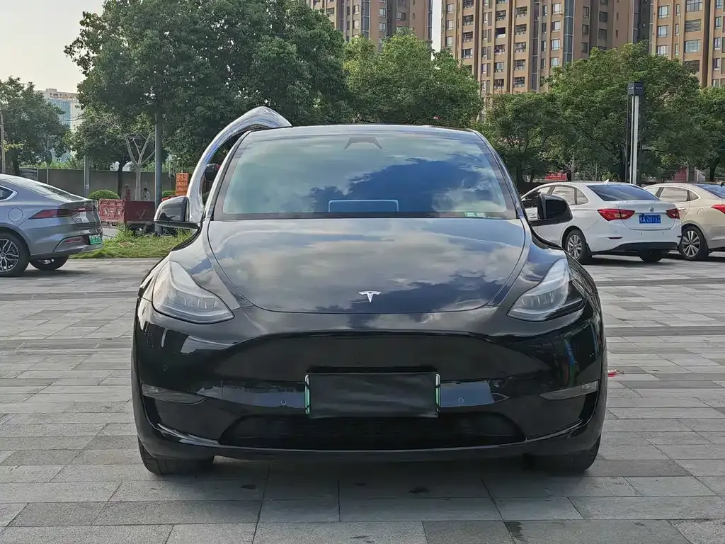 Tesla Model Y 2024 из CN, фото 2