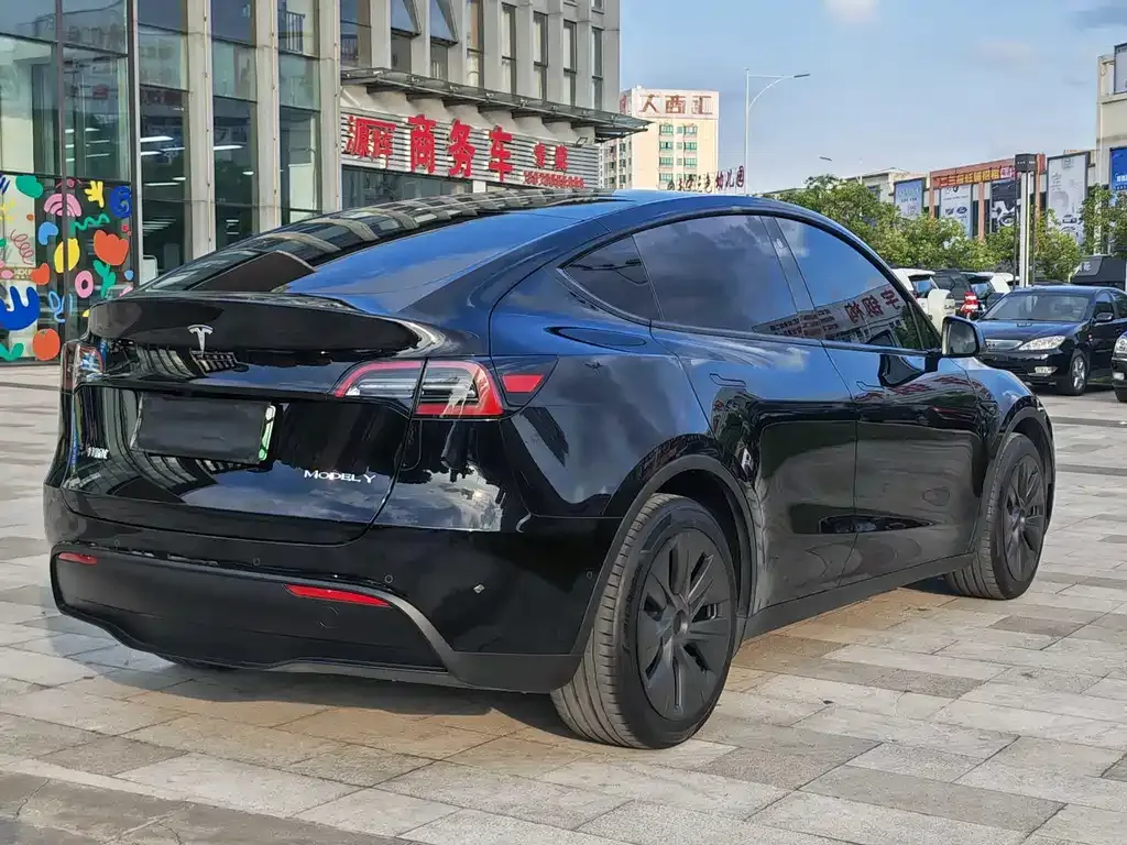 Tesla Model Y 2024 из CN, фото 4