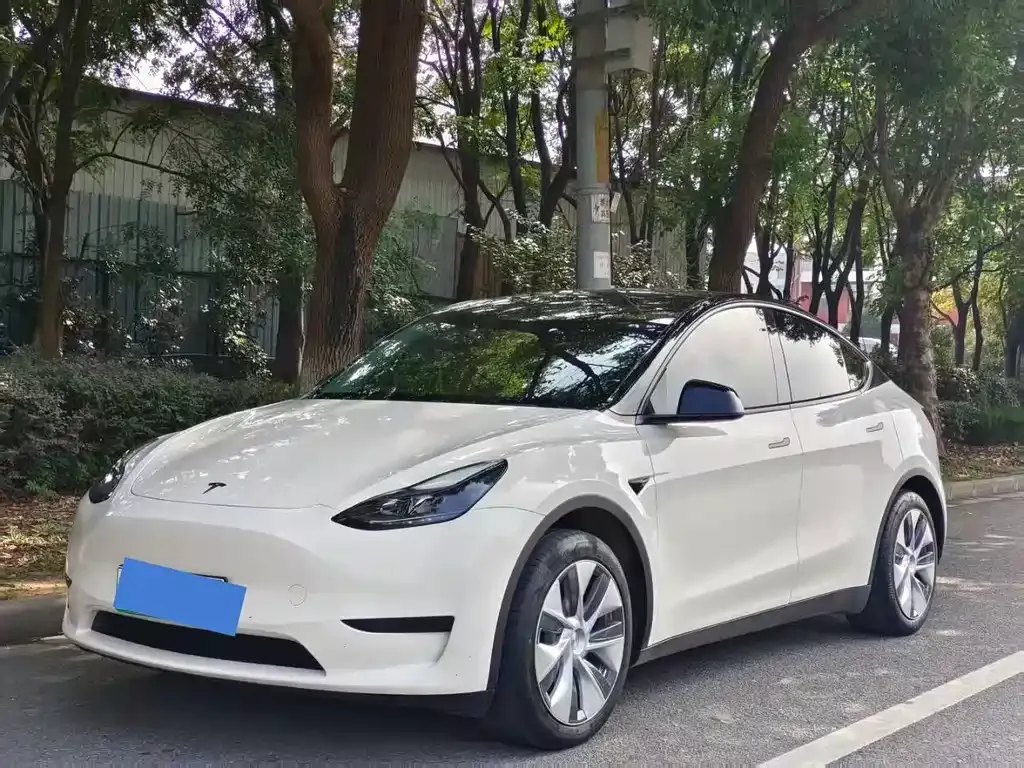 Tesla Model Y 2023 из CN, фото 1