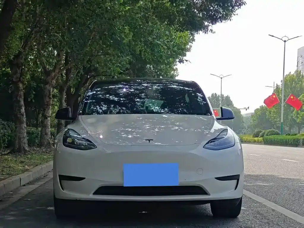 Tesla Model Y 2023 из CN, фото 2