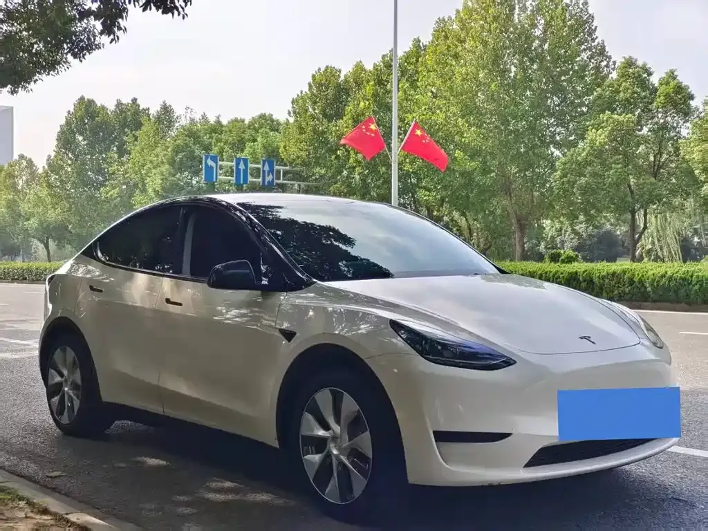 Tesla Model Y 2023 из CN, фото 3