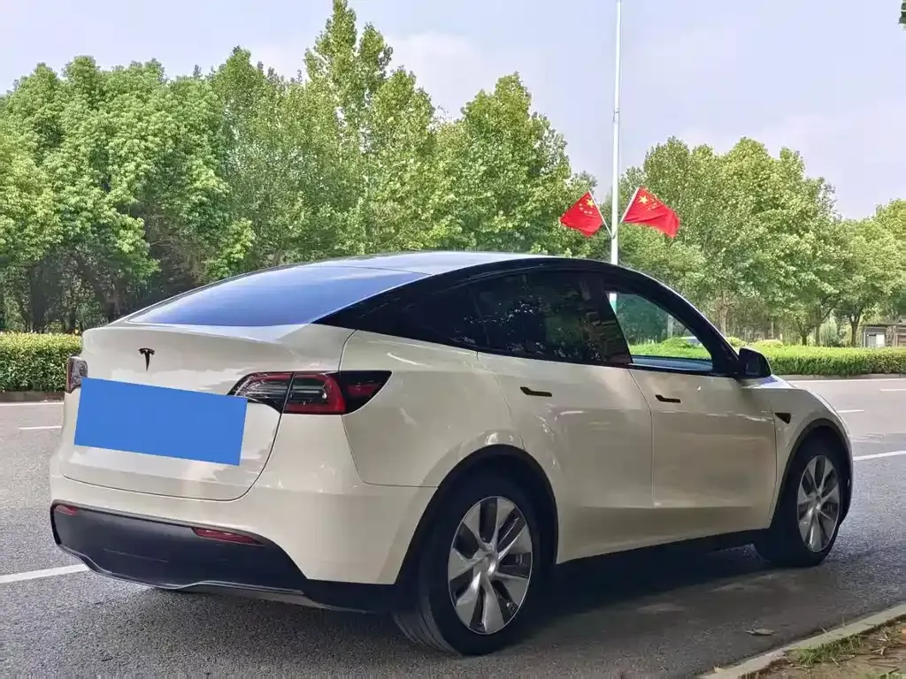 Tesla Model Y 2023 из CN, фото 4