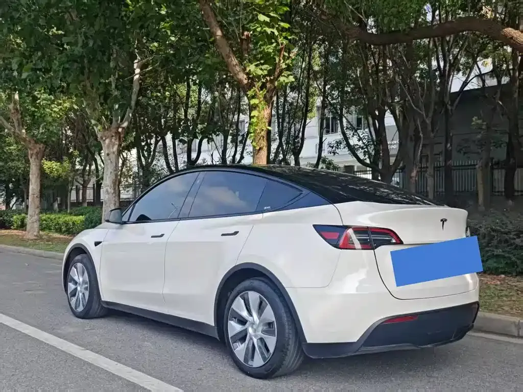 Tesla Model Y 2023 из CN, фото 5