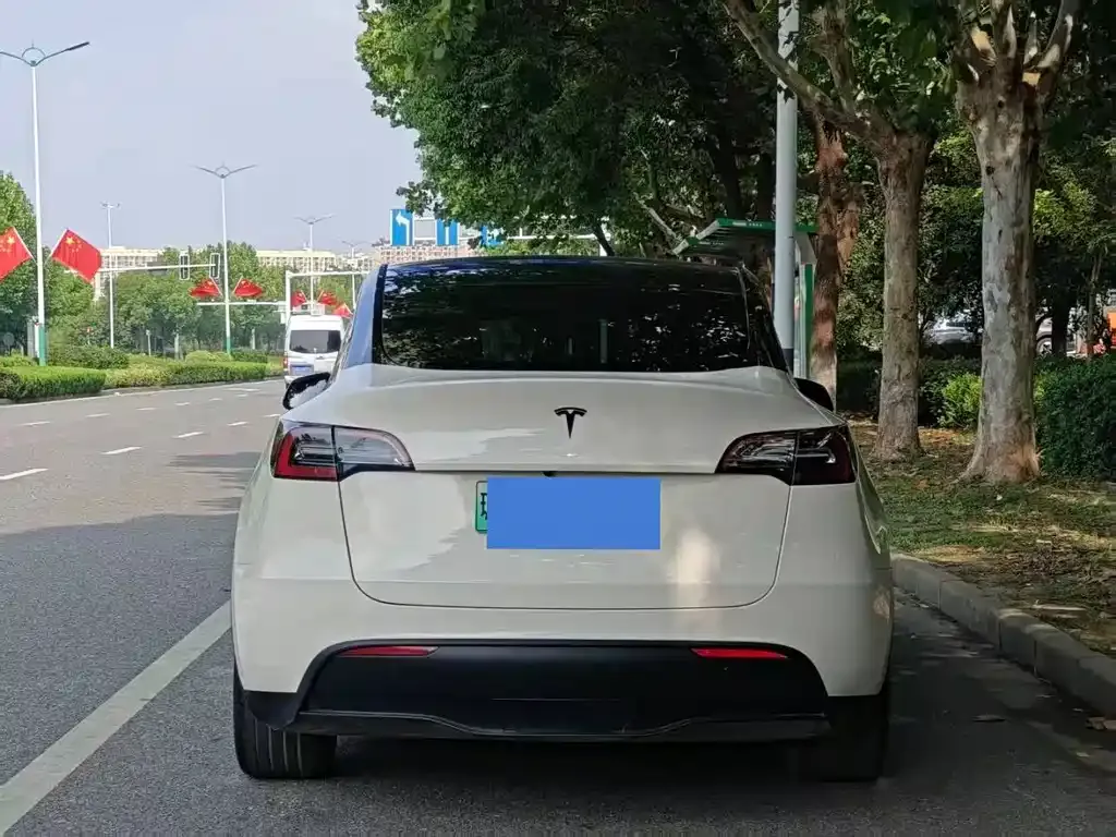 Tesla Model Y 2023 из CN, фото 6