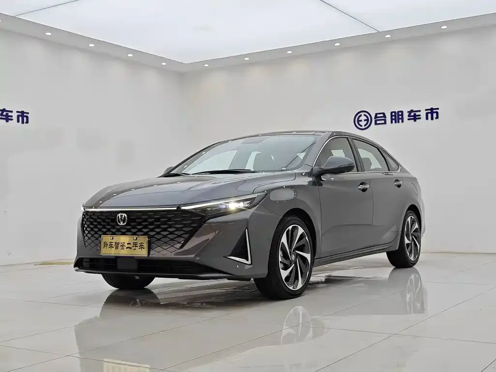 Changan Ruicheng PLUS 2023 из CN, фото 2