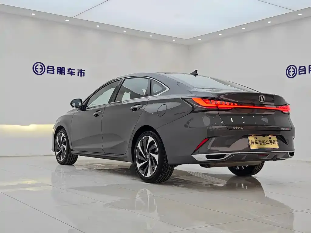 Changan Ruicheng PLUS 2023 из CN, фото 3