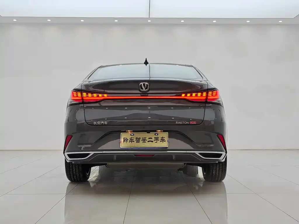 Changan Ruicheng PLUS 2023 из CN, фото 4