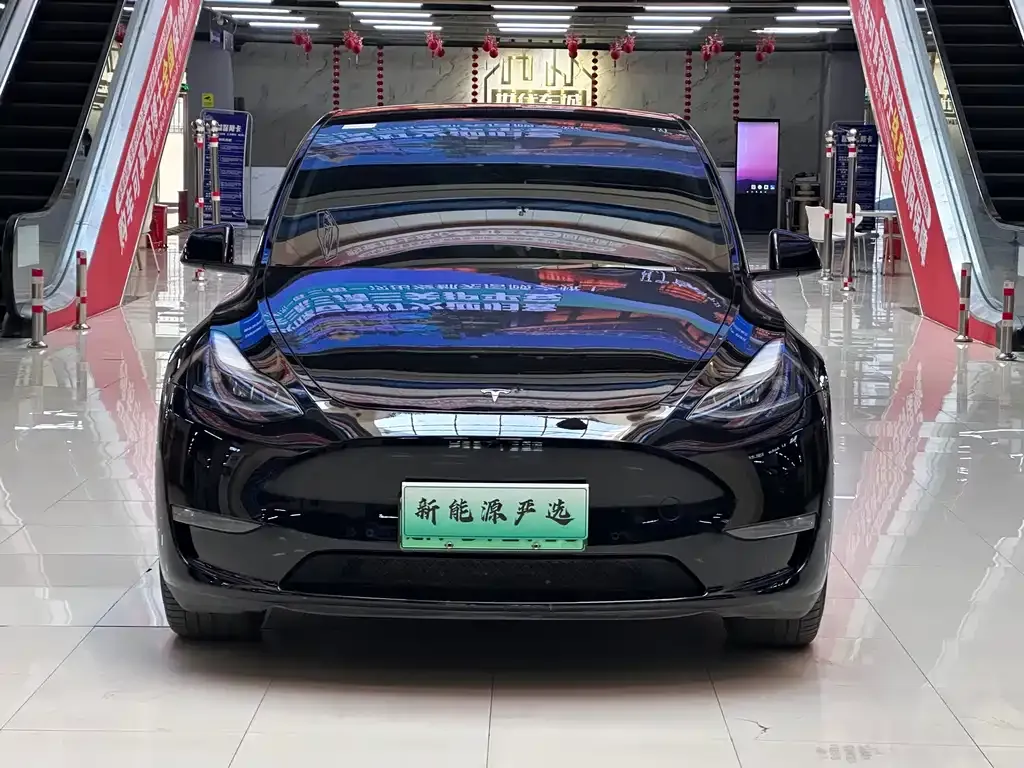 Tesla Model Y — фото 2