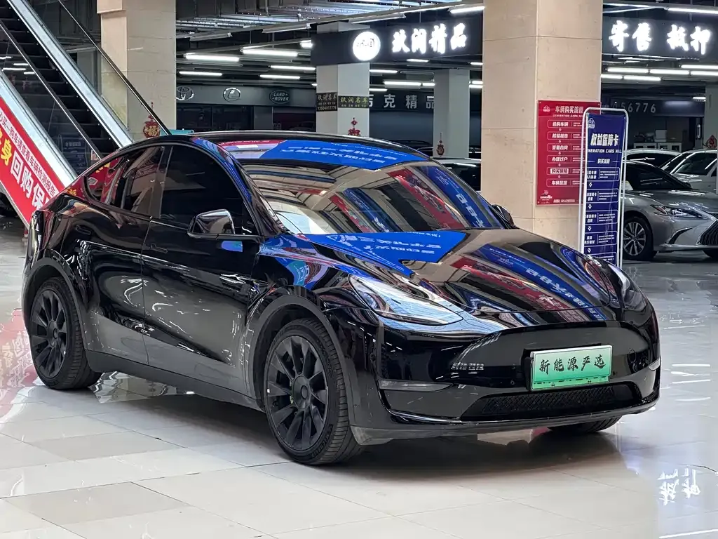 Tesla Model Y — фото 3