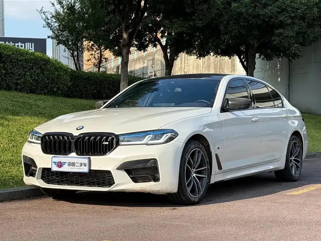 BMW 5 Series 2021 из CN, фото 1