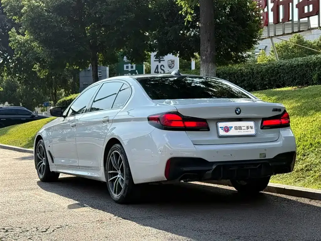 BMW 5 Series 2021 из CN, фото 4
