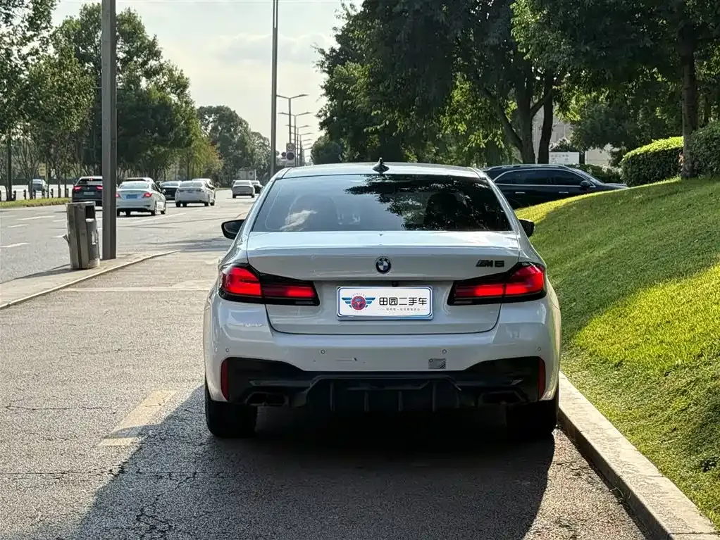 BMW 5 Series 2021 из CN, фото 5