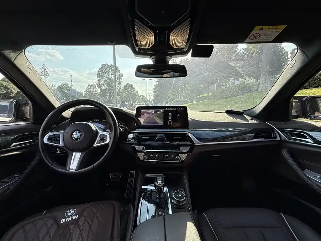 BMW 5 Series 2021 из CN, фото 7