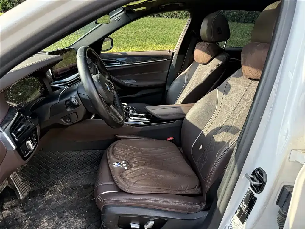 BMW 5 Series 2021 из CN, фото 8