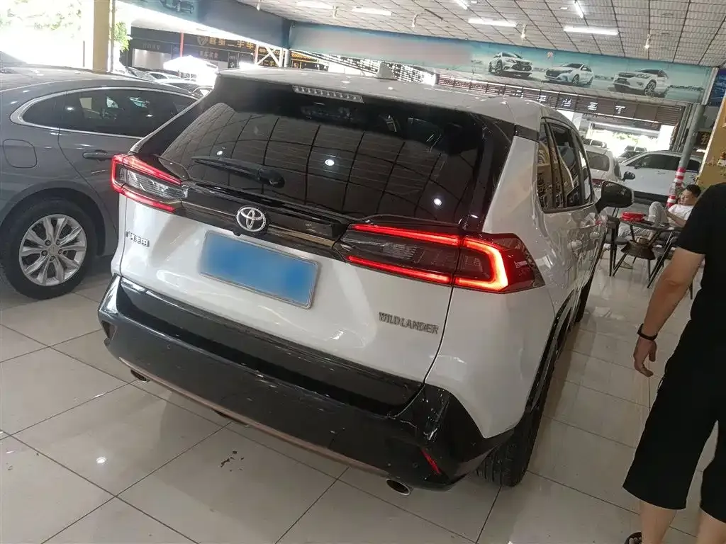 Toyota Wildlander 2022 из CN, фото 7