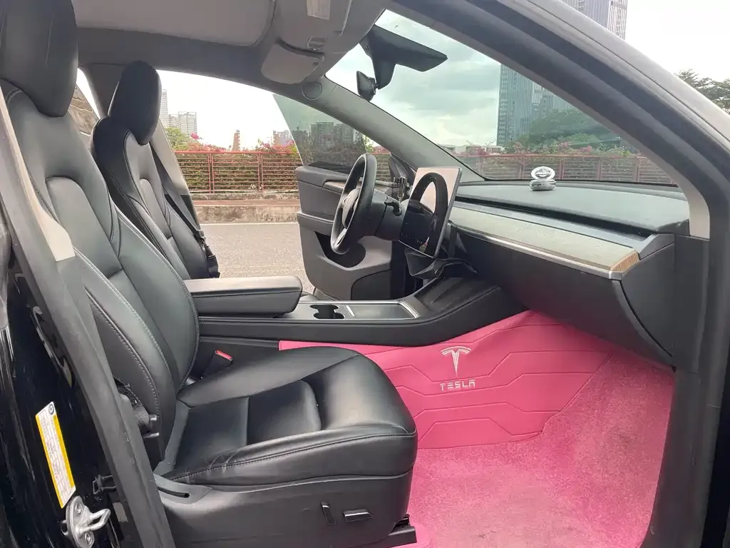 Tesla Model Y — фото 10